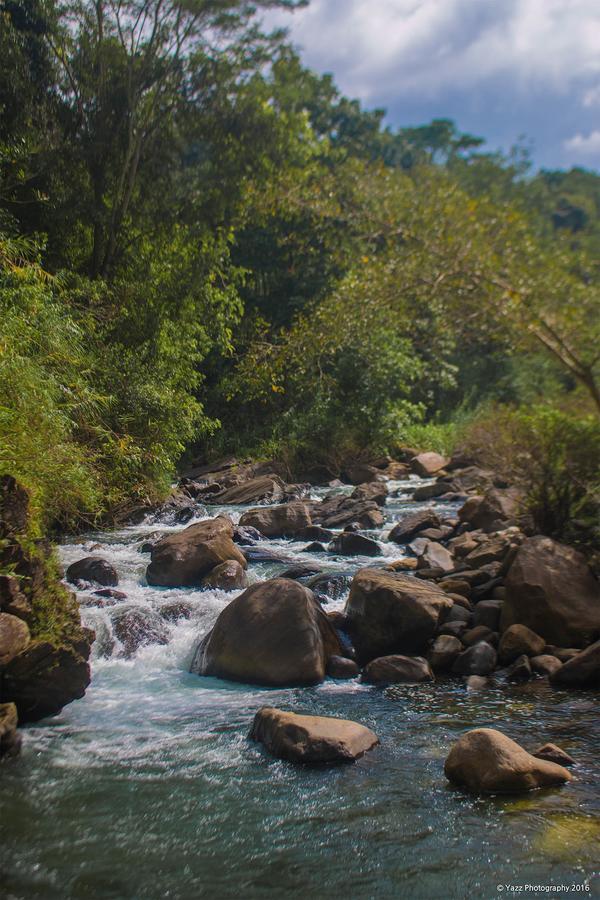 Jungle River Ginigathena Zewnętrze zdjęcie