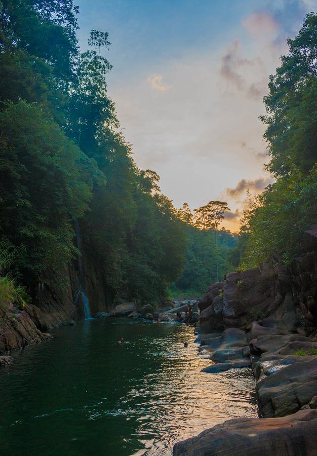 Jungle River Ginigathena Zewnętrze zdjęcie