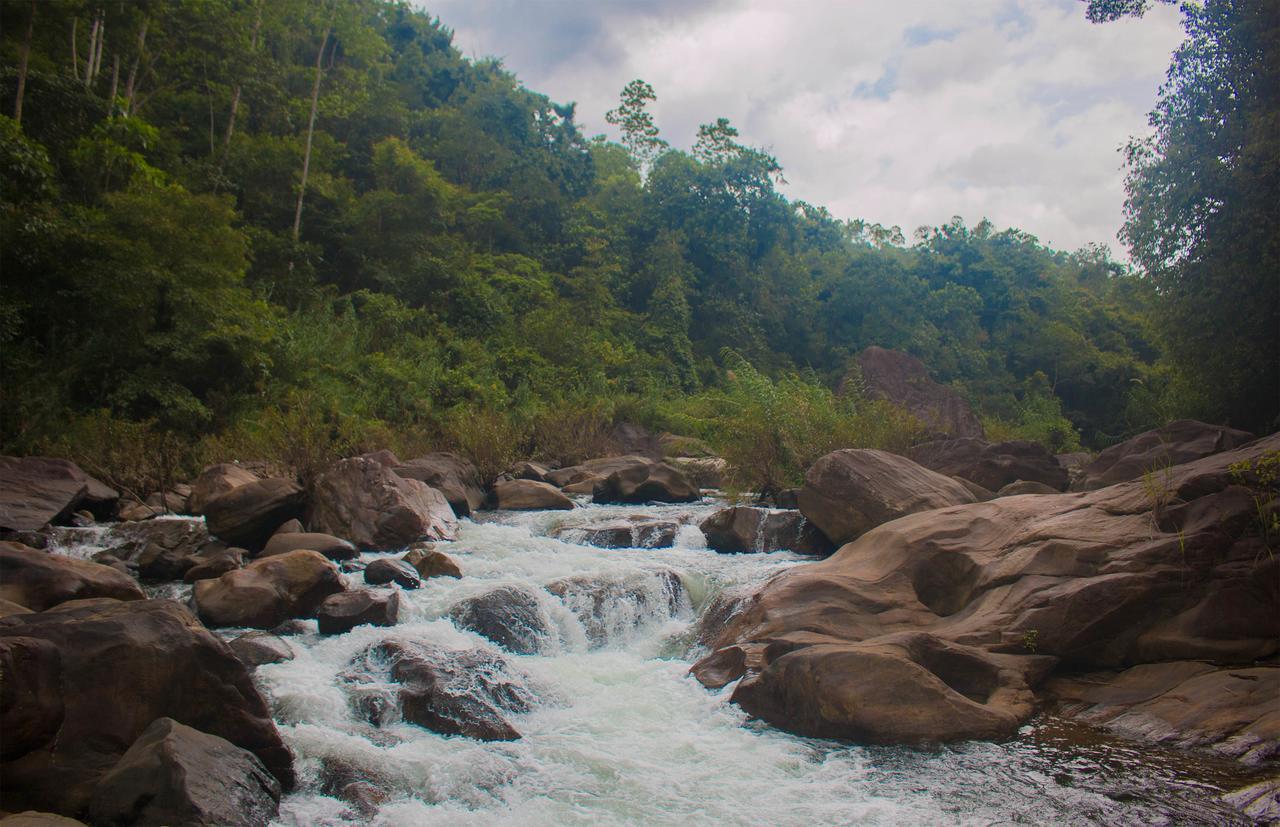 Jungle River Ginigathena Zewnętrze zdjęcie