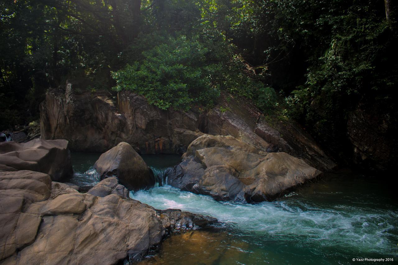 Jungle River Ginigathena Zewnętrze zdjęcie