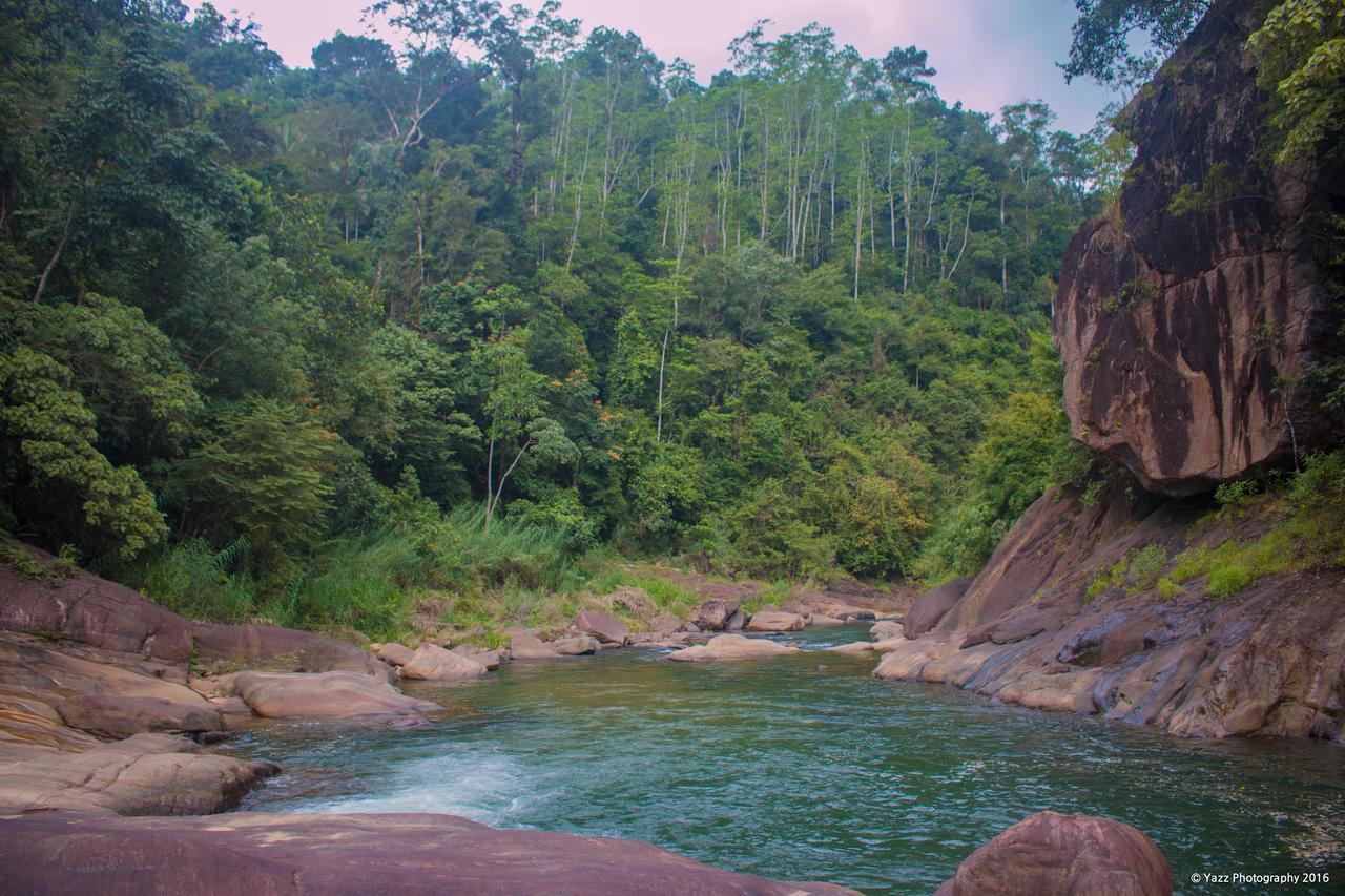 Jungle River Ginigathena Zewnętrze zdjęcie