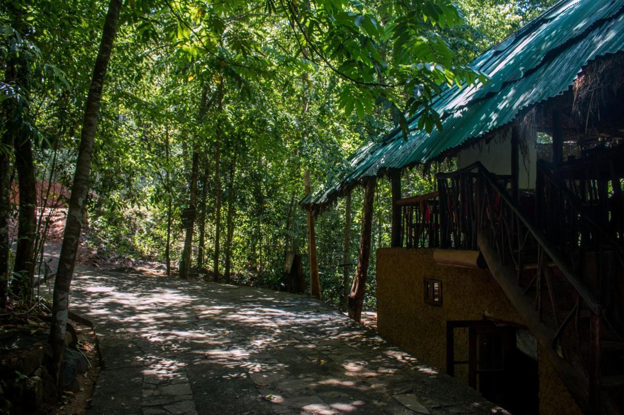 Jungle River Ginigathena Zewnętrze zdjęcie